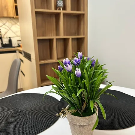 Apartman Atana Drujba