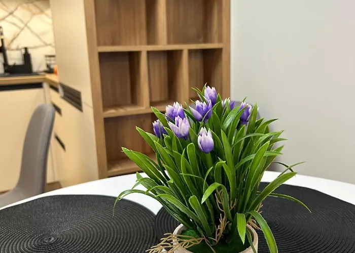 Apartment Atana Drujba